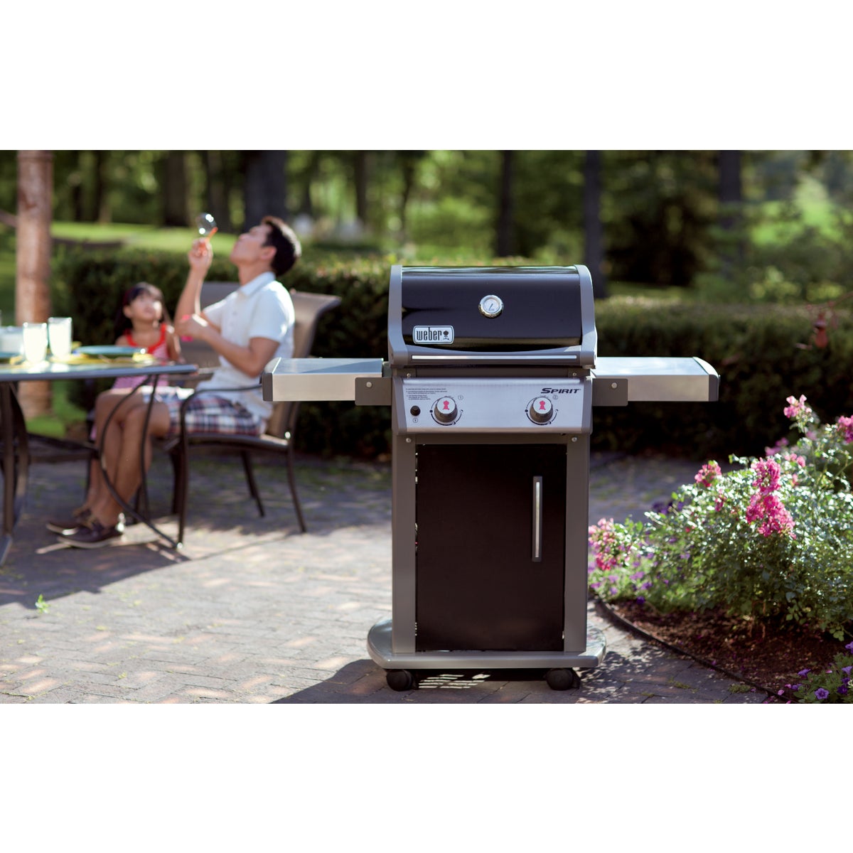 Weber Spirit E-210 2-Burner Black 26,500-BTU LP Gas Grill