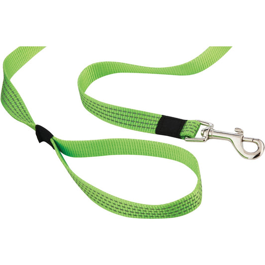 Westminster Pet Ruffin' it 4 Ft. Nylon Reflective High Visibility Medium Dog Leash