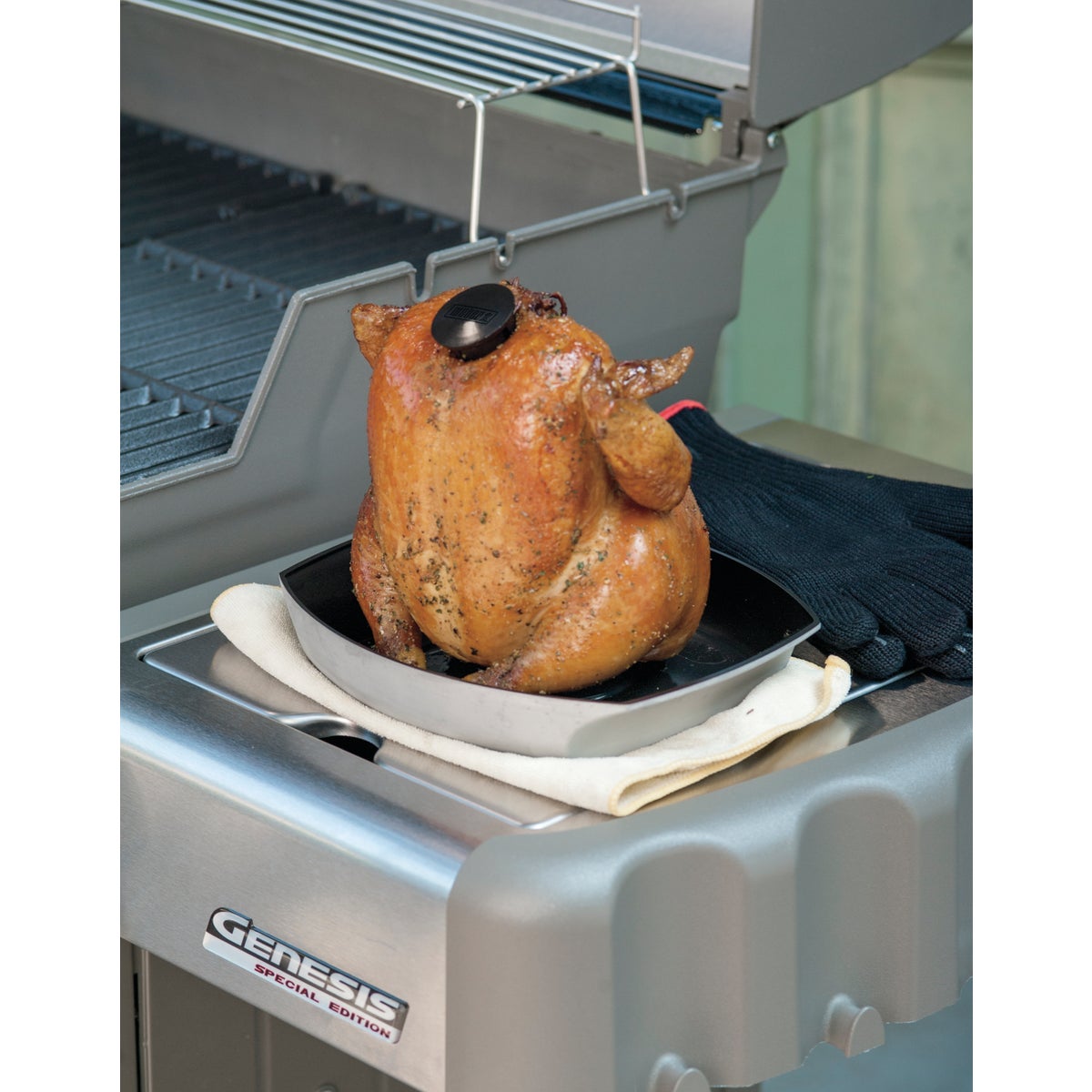 Weber Aluminum Poultry Roaster