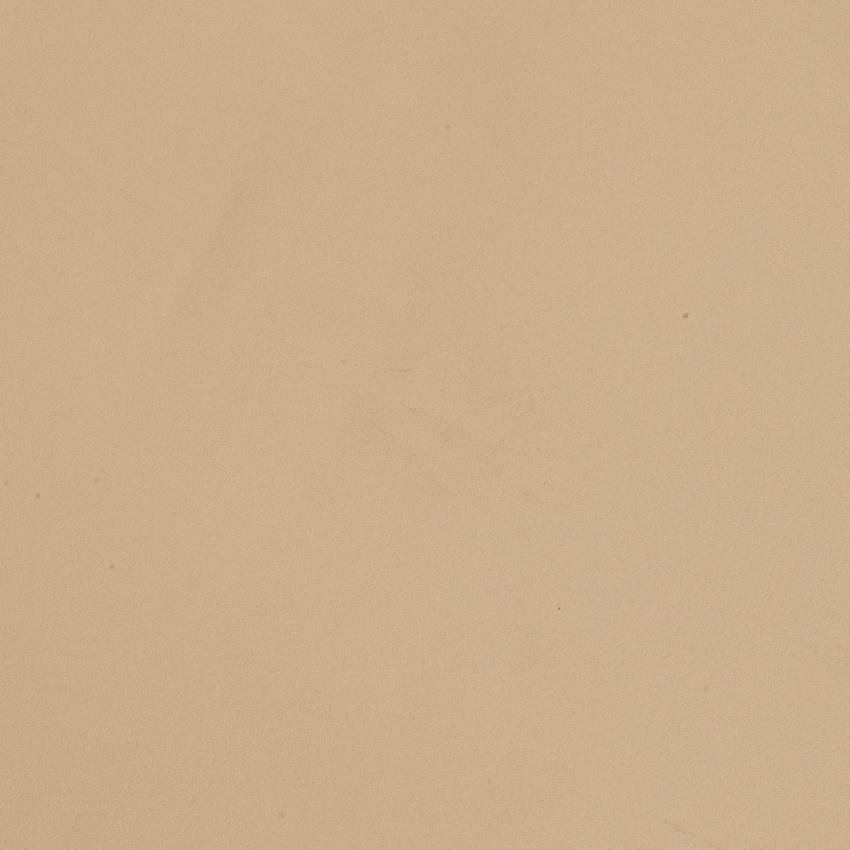 Outdoor Expressions 9 Ft. Aluminum Tilt/Crank Tan Patio Umbrella