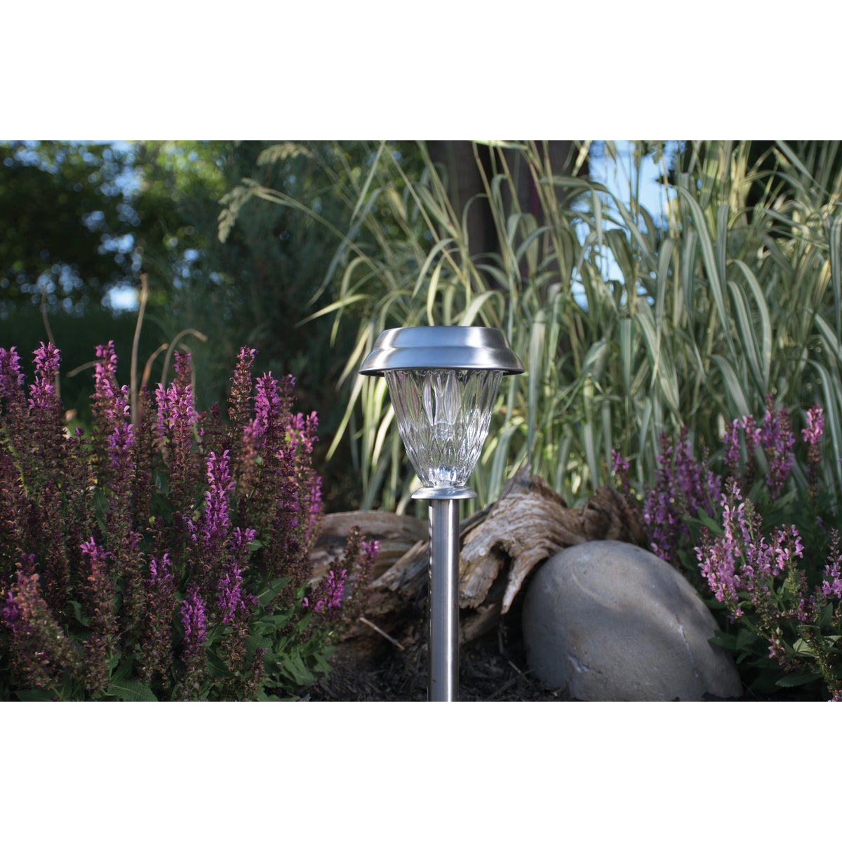 Moonrays Stainless Steel 4 Lm. Solar Path Light with Glass Lens