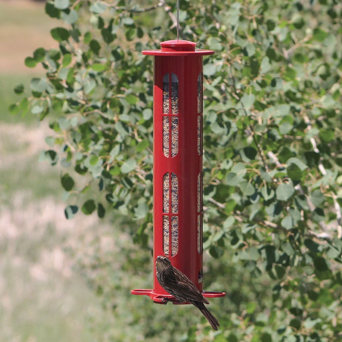 Squirrel-X8 Squirrel-Proof Bird Feeder