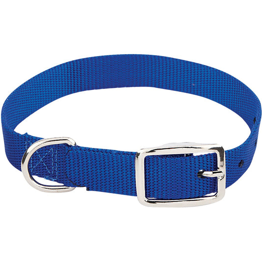 Westminster Pet Ruffin' it Adjustable 18 In. Nylon Dog Collar