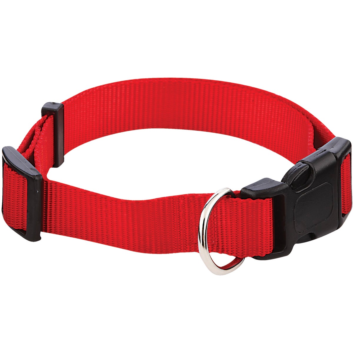 Westminster Pet Ruffin' it Adjustable 18 In. to 26 In. Nylon Dog Collar