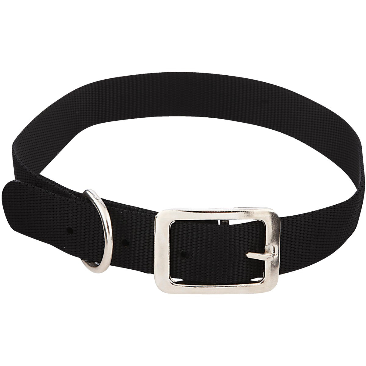 Westminster Pet Ruffin' it Adjustable 24 In. Nylon Dog Collar