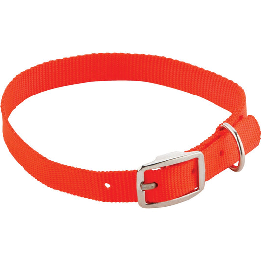 Westminster Pet Ruffin' it Adjustable 24 In. Orange Nylon Dog Collar