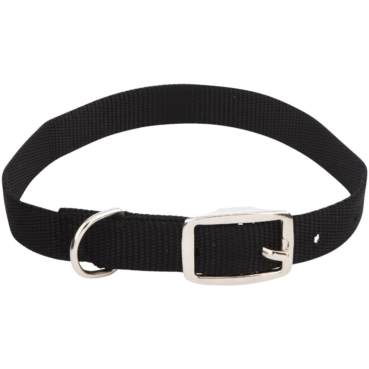 Westminster Pet Ruffin' it Adjustable 20 In. Nylon Dog Collar