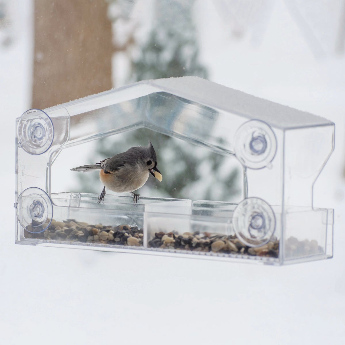 Perky-Pet Clear Plastic Window 1 Lb. Capacity Bird Feeder