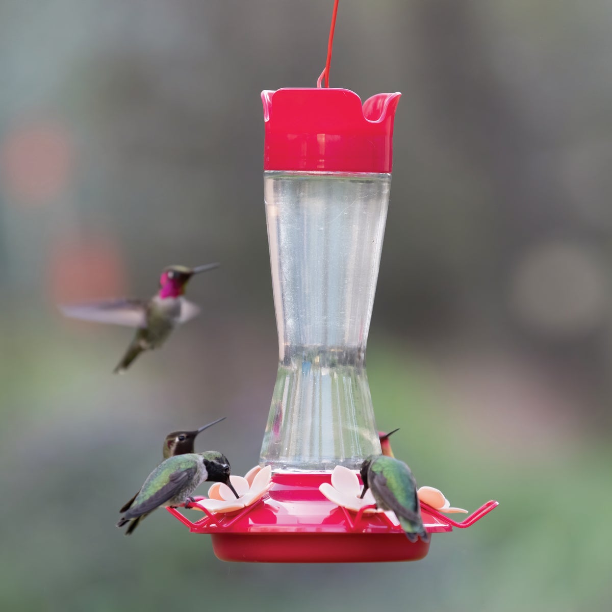 Perky Pet 12 Oz. Glass Top Fill Pinch Waist Hummingbird Feeder