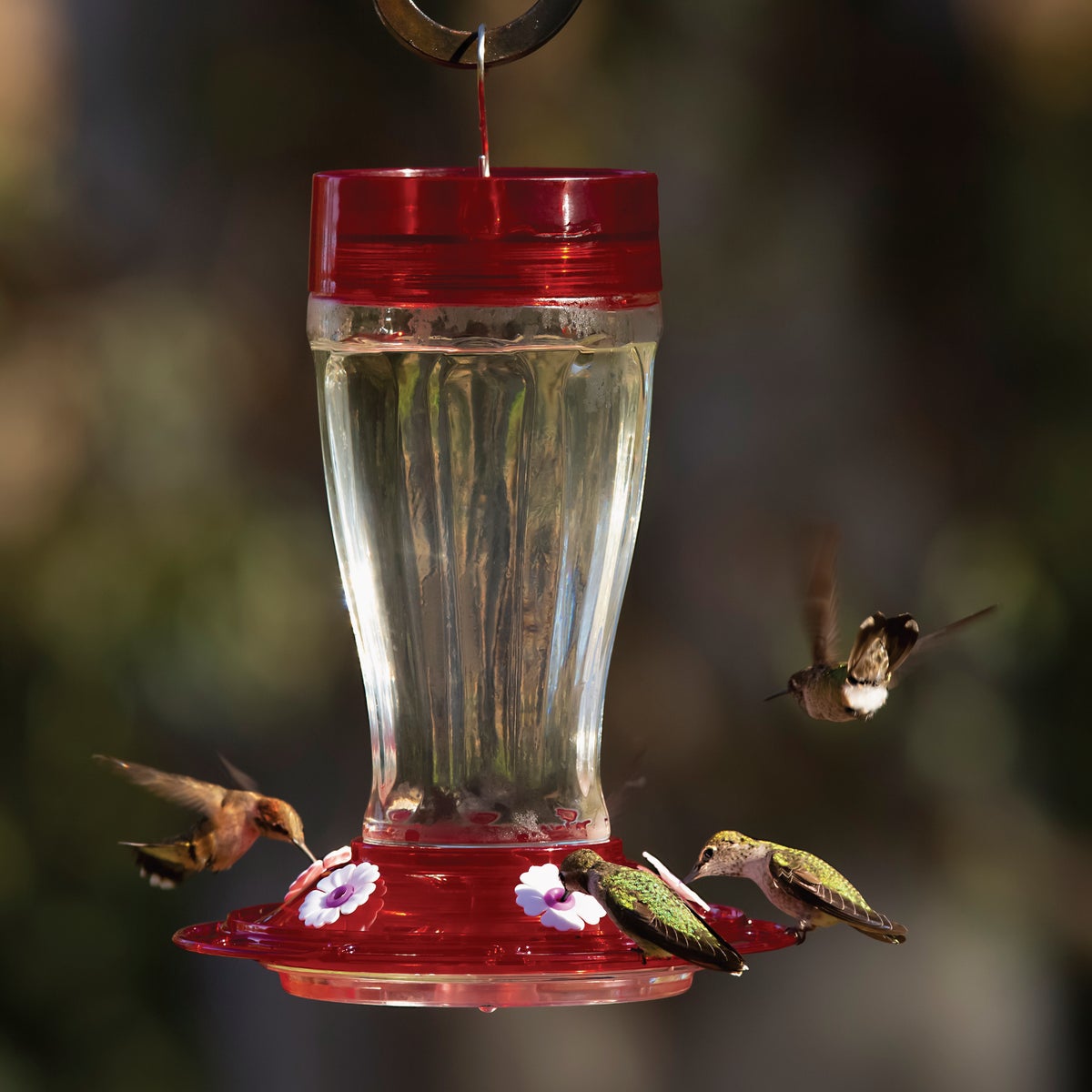 Classic Birds More Birds Bird Health+ 64 Oz. Liquid RTU Clear Hummingbird Nectar