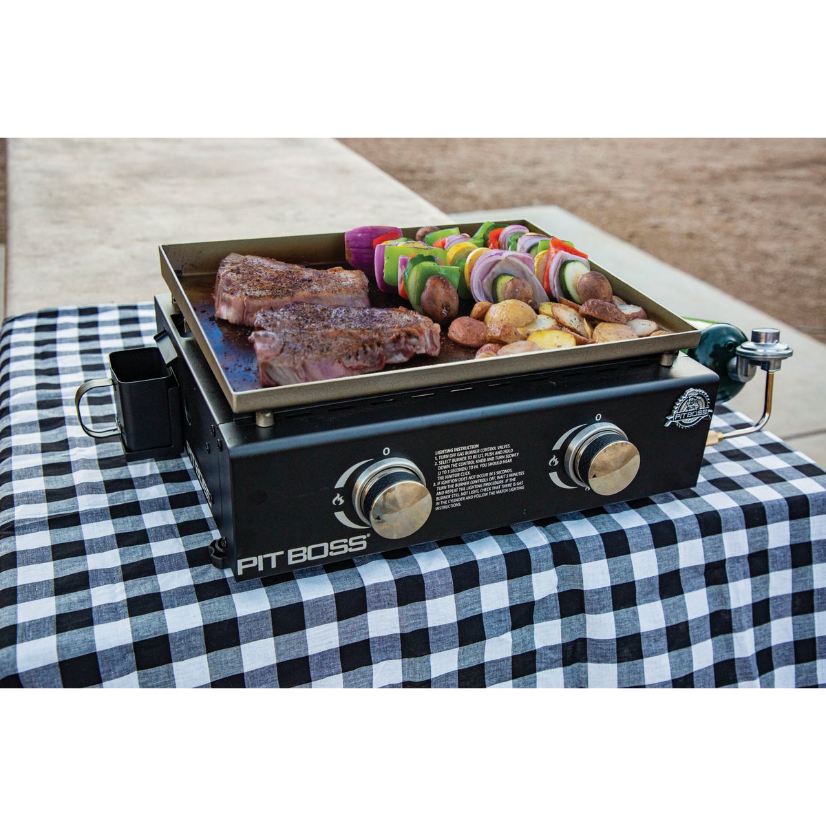 Pit Boss 2-Burner Black 18,000 BTU 289 Sq. In. Outdoor LP Gas Griddle