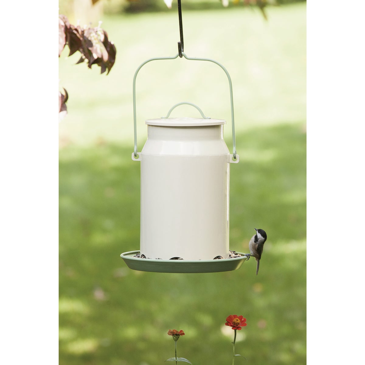 Perky-Pet Metal Milk Pail 5 Lb. Capacity Wild Bird Feeder