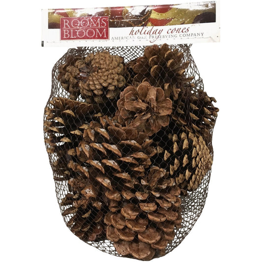 Rooms in Bloom Cinnamon Scented Assorted Pinecones