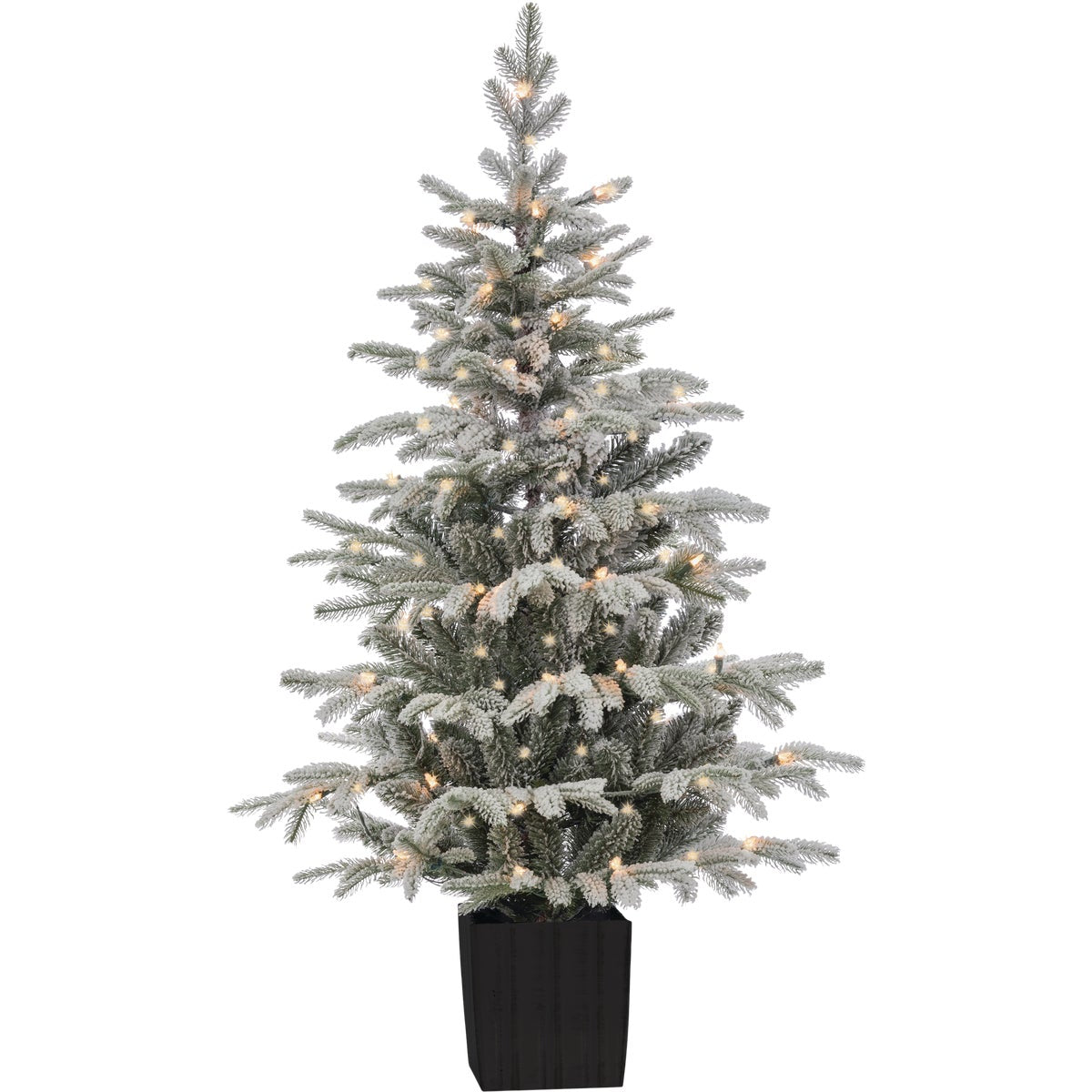 4.5 Ft. Potted Iceland Fir 70-Bulb Incandescent Specialty Tree